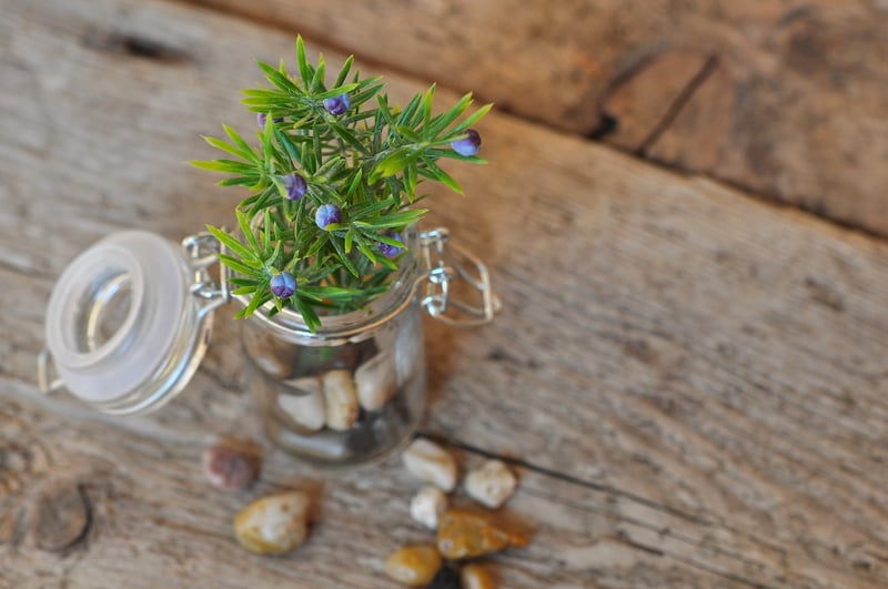 Decorative Repurposing