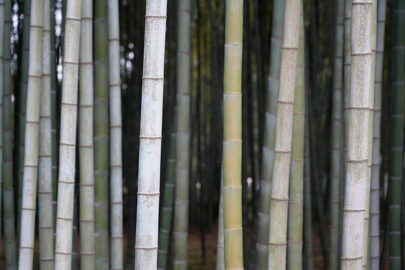 Eco-Friendly Decor Accents