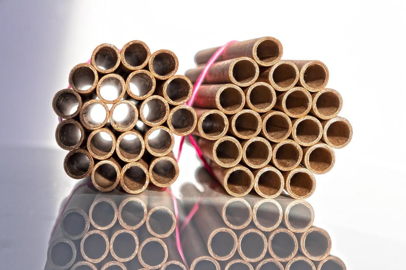 Cardboard Tube Binoculars